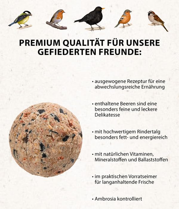 Dehner Natura Meisenknödel Beere 100x100g ohne Netz