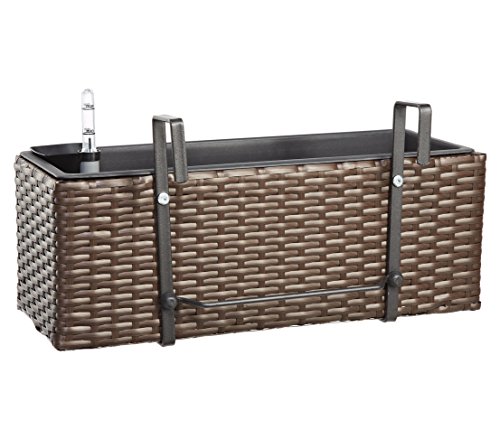 Dehner Florenz Blumenkasten braun 50cm mit Bewässerung