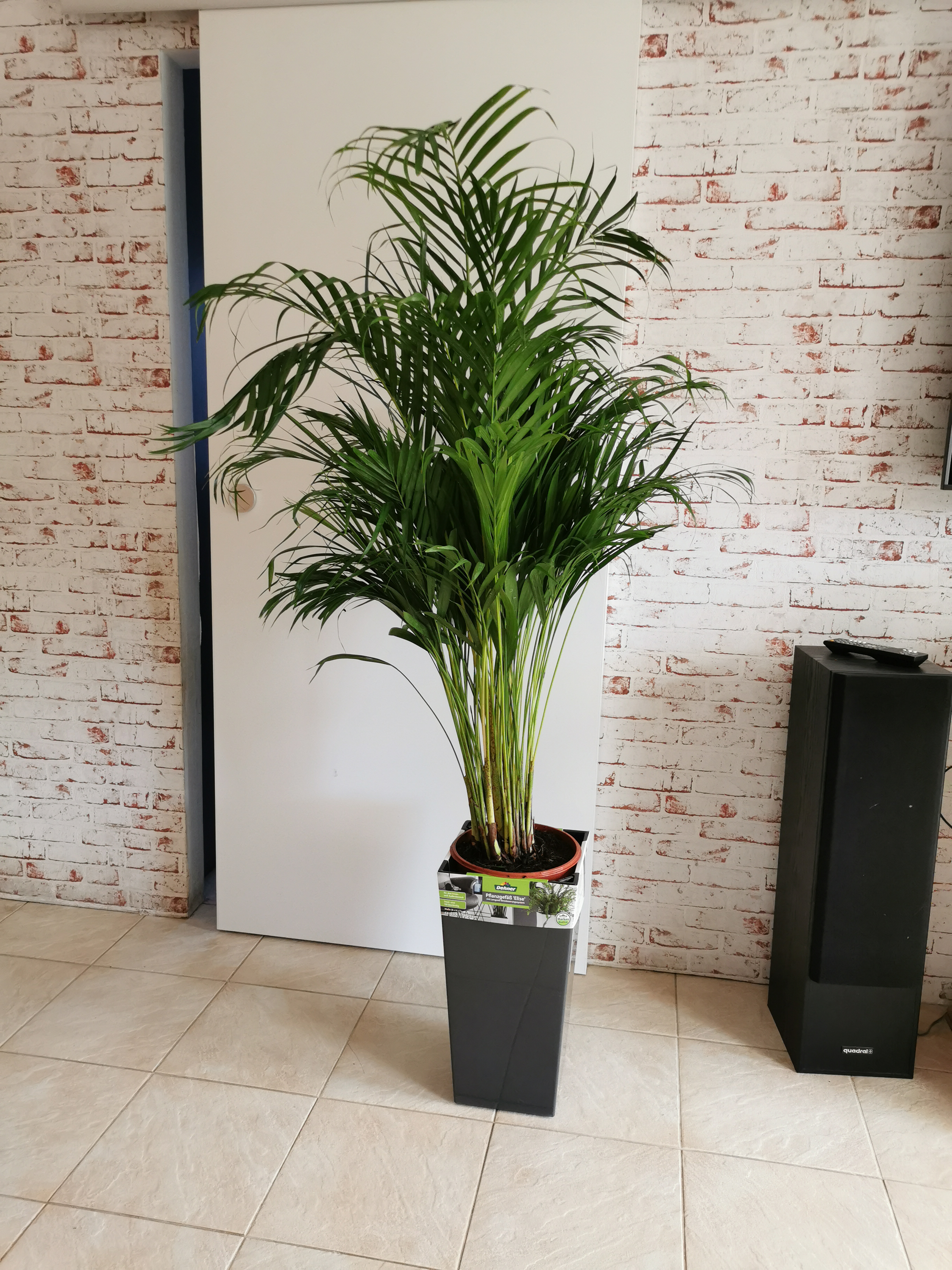 Dehner Elise Kunststofftopf weiß 47x25cm selbstbewässernd
