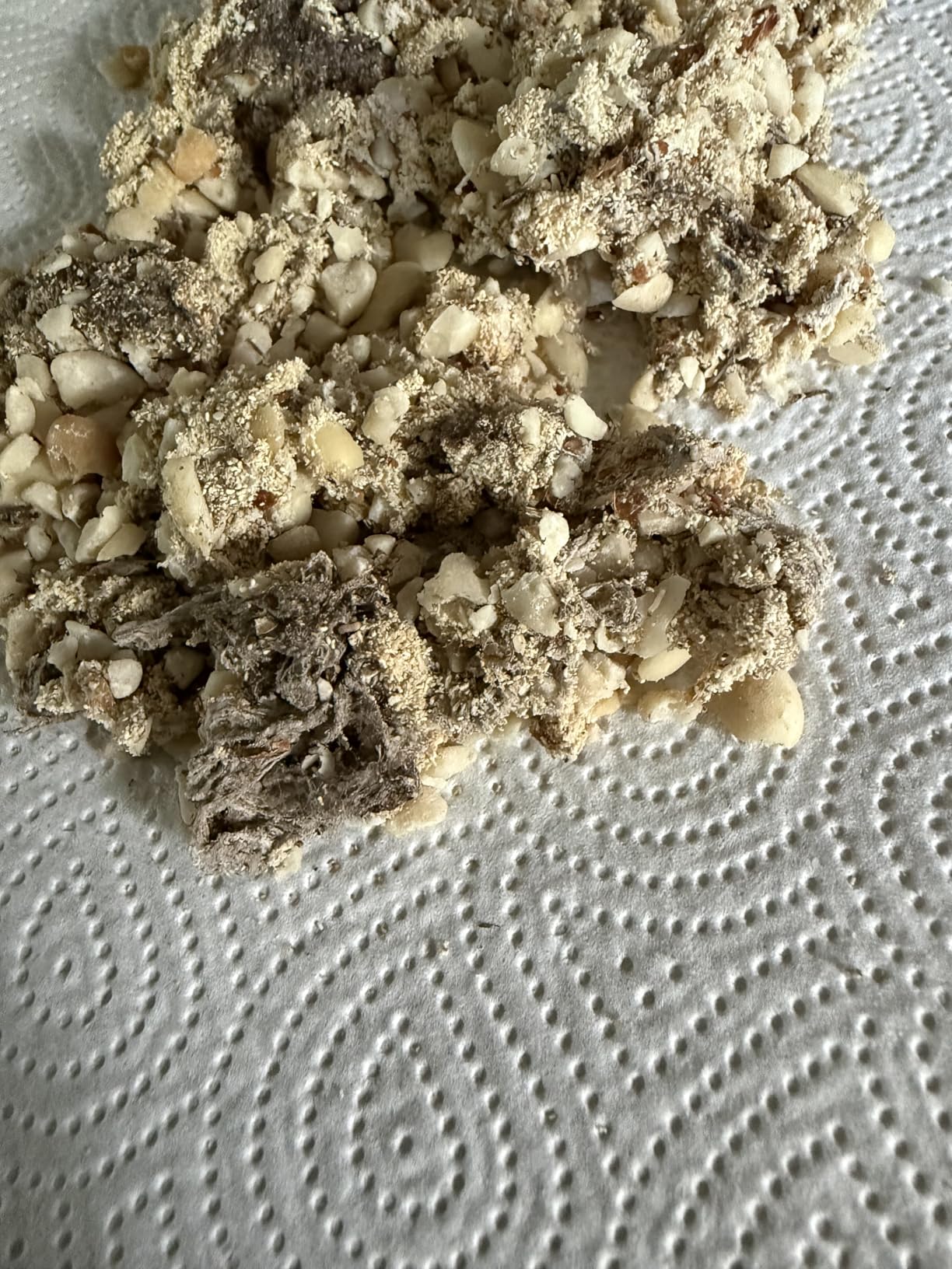 Dehner Natura Premium Wildvogelfutter Erdnüsse 10kg schalenfrei