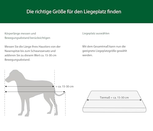 Dehner Lieblinge Massage-Bürste Bambus Fellbürste Grün