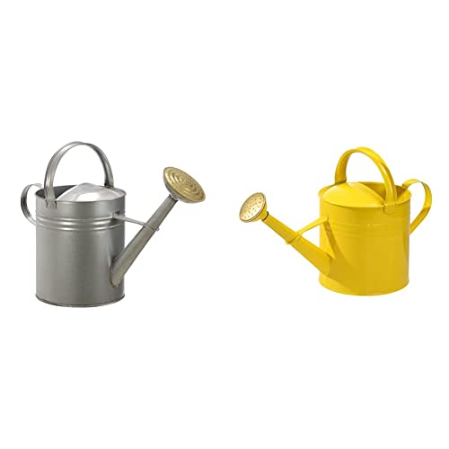 Dehner Gießkanne nostalgisch Set 9l+5l Zink Brause