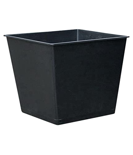 Dehner Universal-Pflanztopf schwarz 30x26x26cm eckig
