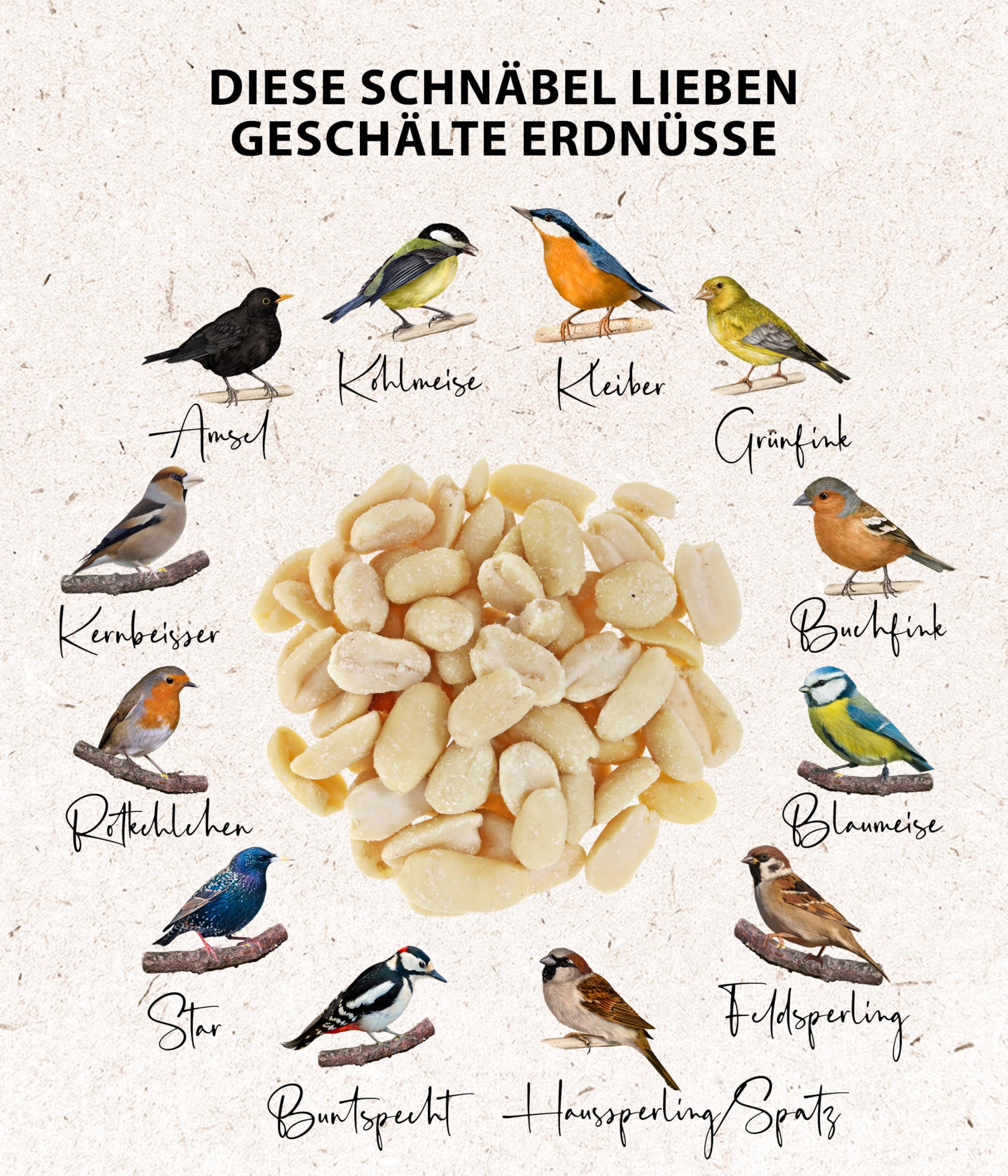 Dehner Natura Wildvogelfutter halbe Erdnüsse 5kg proteinreich