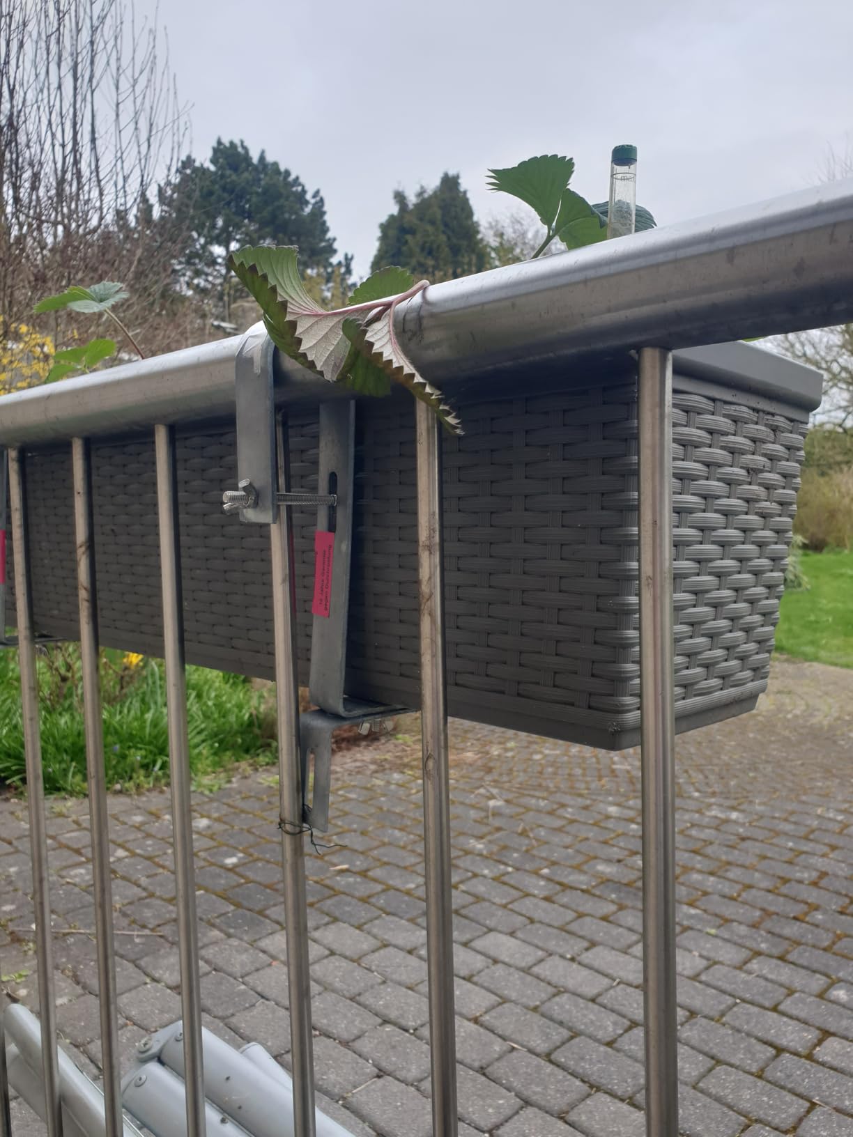 Dehner Premium Lovely Blumenkastenhalter silbergrau 2 Stück verzinkt