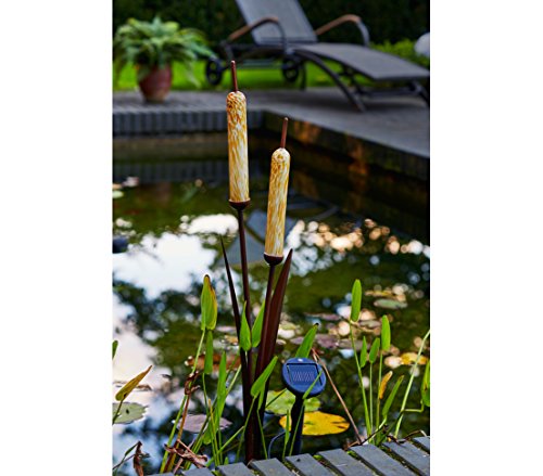 Dehner Lovely Solar Rohrkolben 94 cm Metall Glas 8 Std.