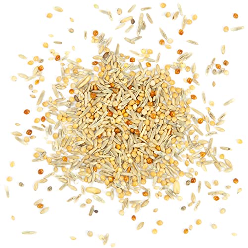 Mr. Crumble Welli-Fit Wellensittichfutter 2,5kg Grassamen