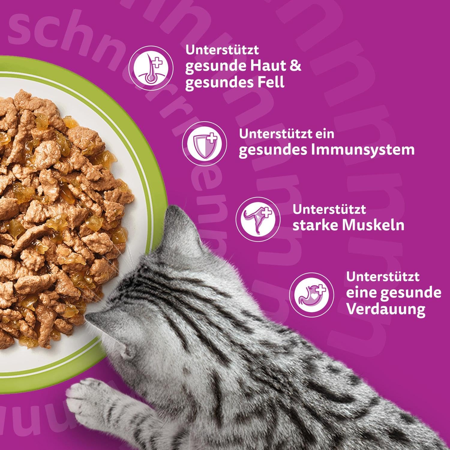 Whiskas Adult 1+ Gemischte Auswahl Nassfutter 84x85g Gelee