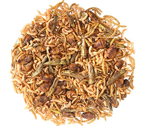 Dehner Aqua Protein-Mix Teichfischsnack 200 g
