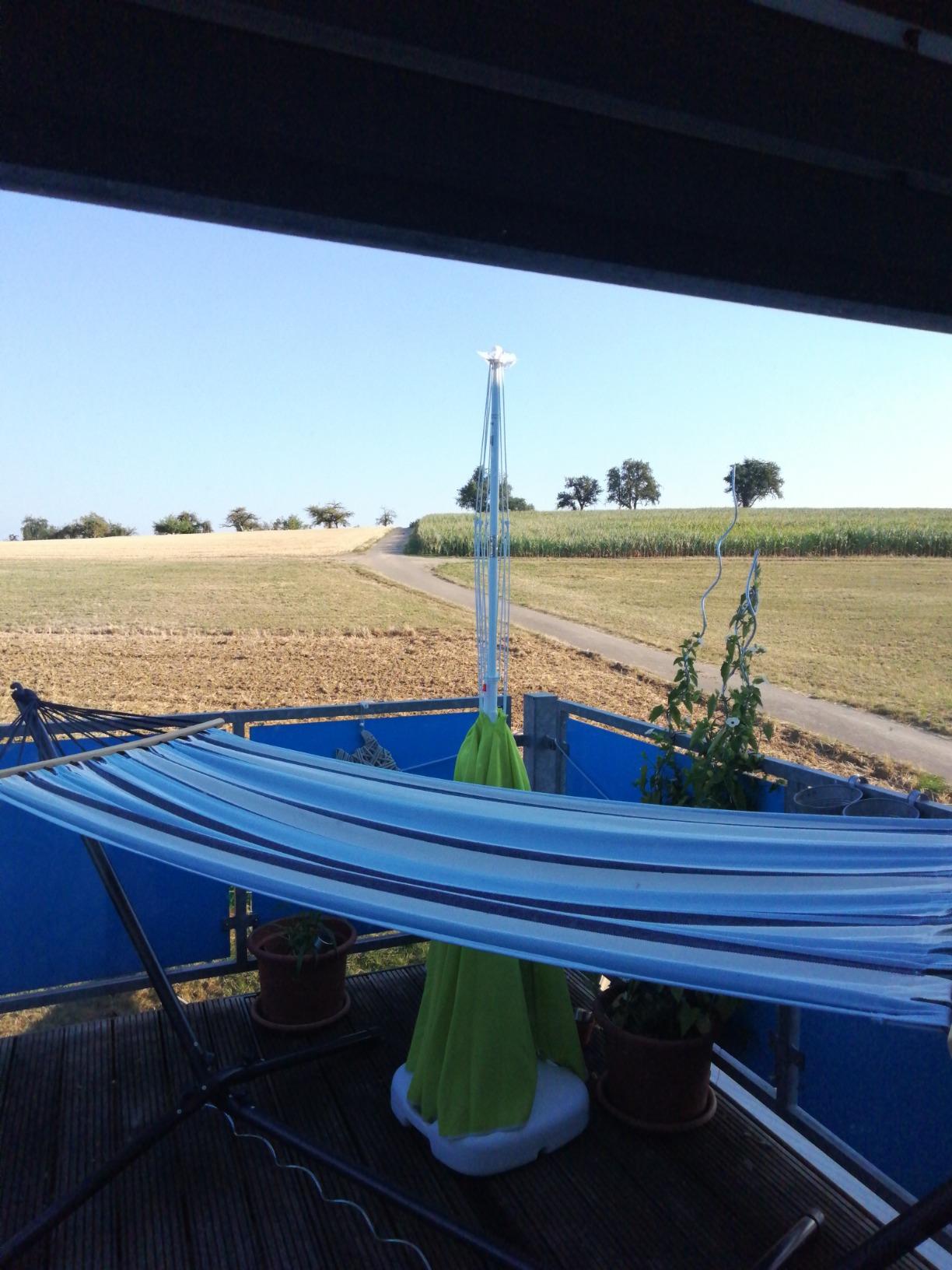 Dehner Saturn Sonnenschirm 200 cm grün Polyester