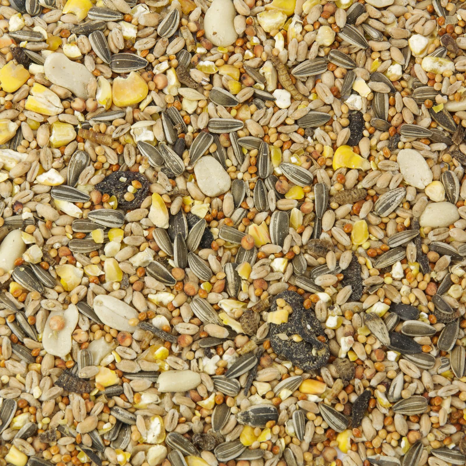 Mr. Crumble Kenner-Picknick Vogelfutter 2,5kg mit Insekten
