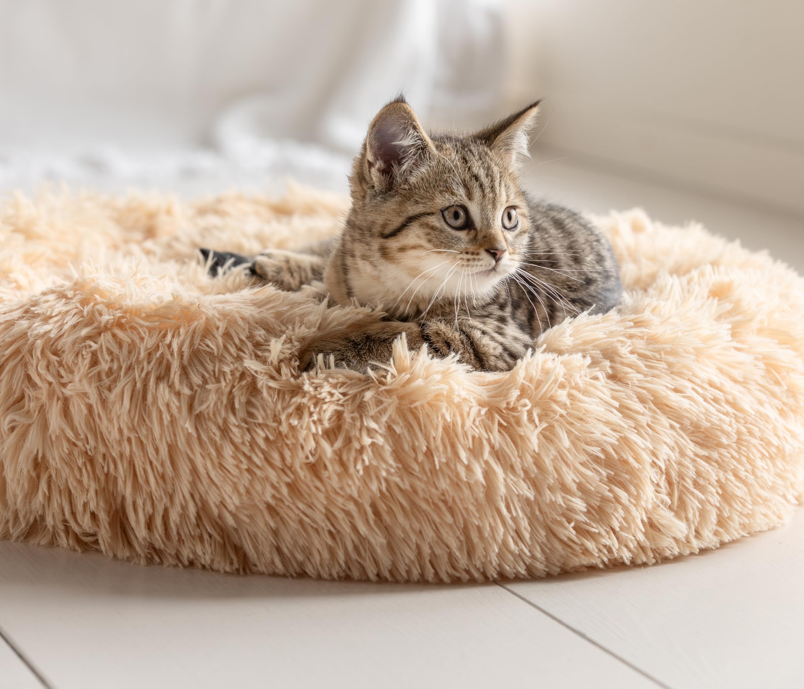 Dehner Lieblinge Cookie Hundebett Katzenbett L beige Ø76 cm
