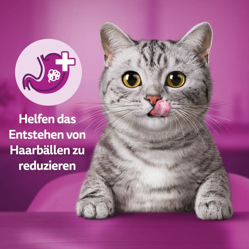Whiskas Anti-Hairball Katzensnack Huhn 8x60g knusprig