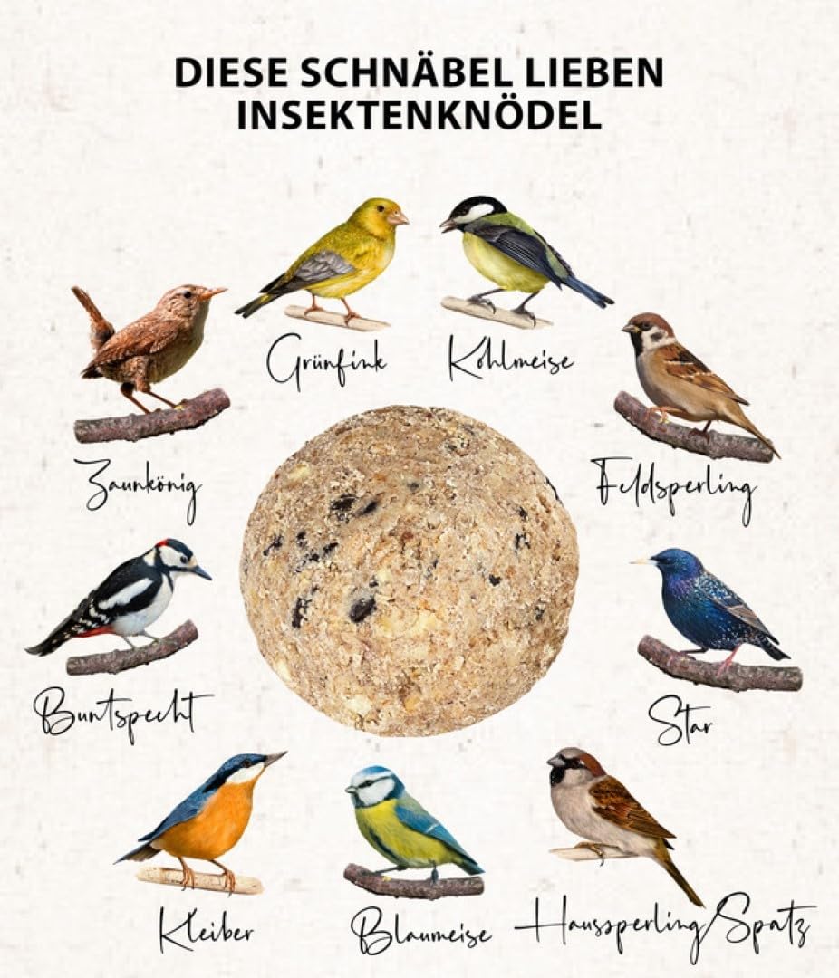 Dehner Natura Meisenknödel o. Netz Insekten 100x90g