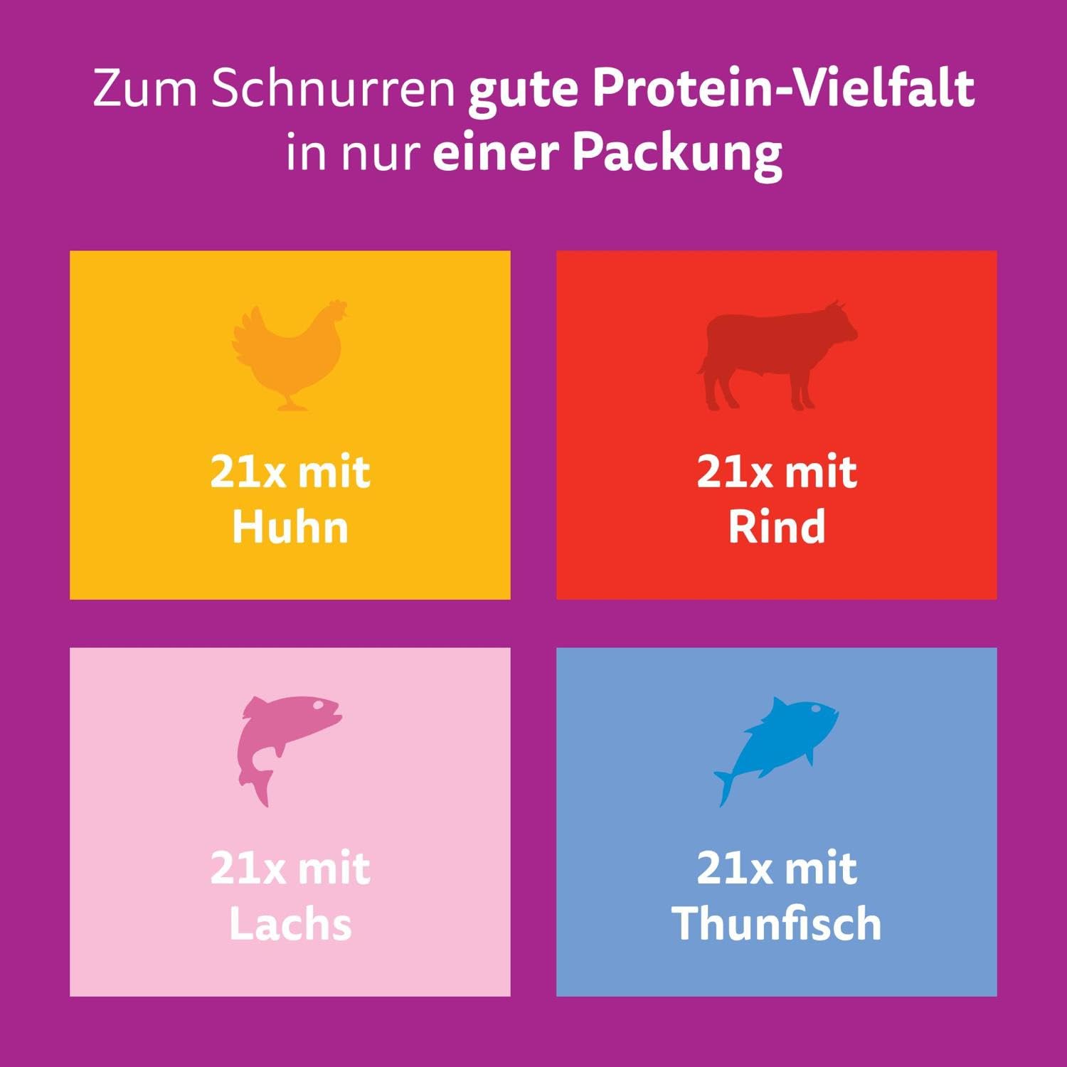 Whiskas Adult 1+ Gemischte Auswahl Nassfutter 84x85g Gelee
