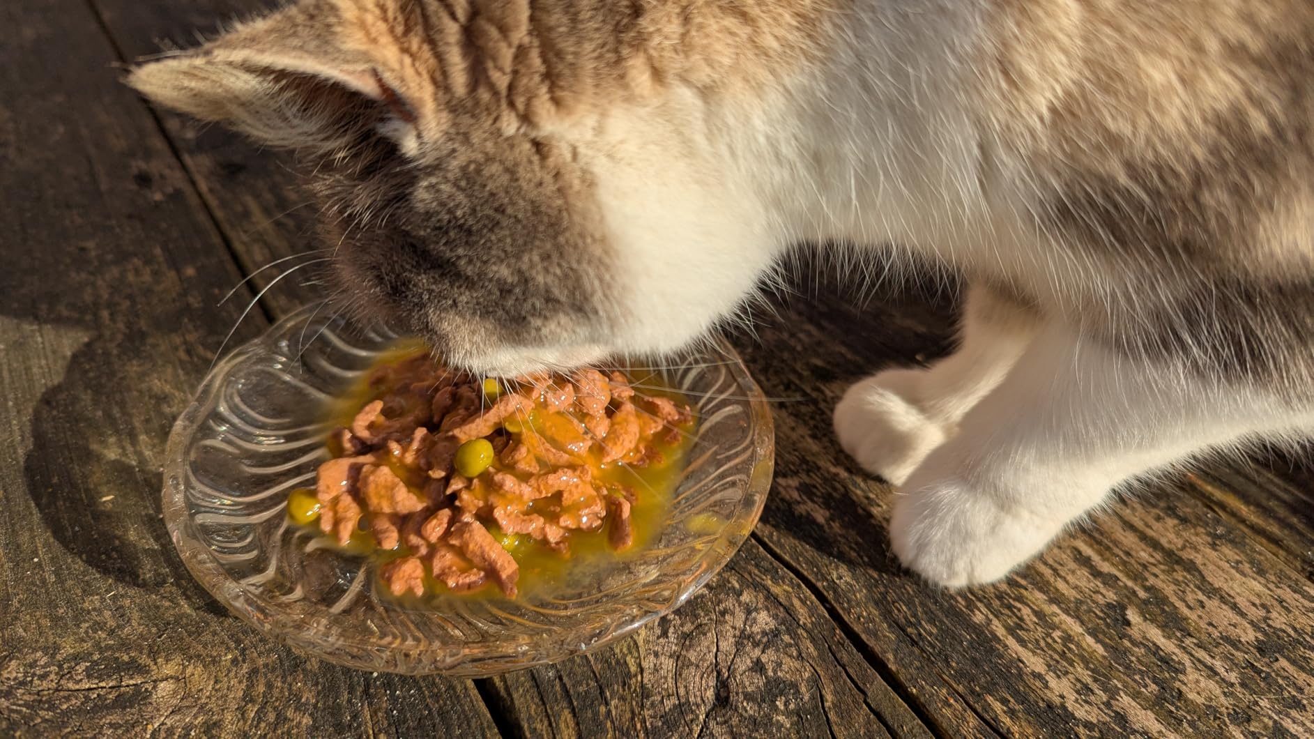 Whiskas Aromatic Gemischte Auswahl Nassfutter 48x85g Sauce