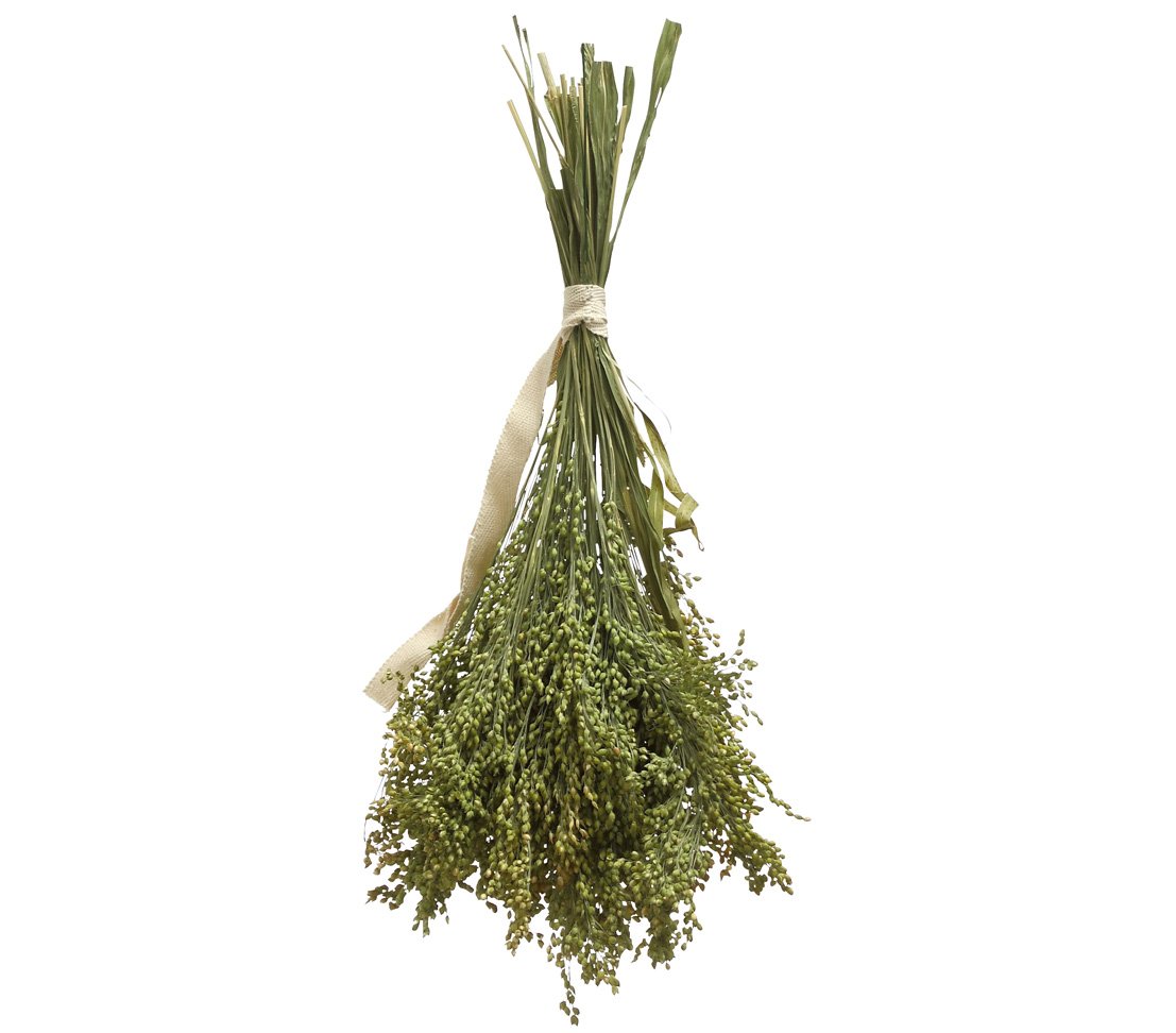 Dehner Best Nature Knabberhalme Rispenhirse Vogelsnack 10x50g