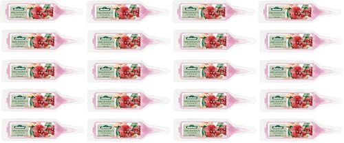 Dehner Orchideen Vitalkur Flüssigdünger 10x30ml