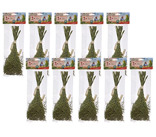 Dehner Best Nature Knabberhalme Rispenhirse Vogelsnack 10x50g