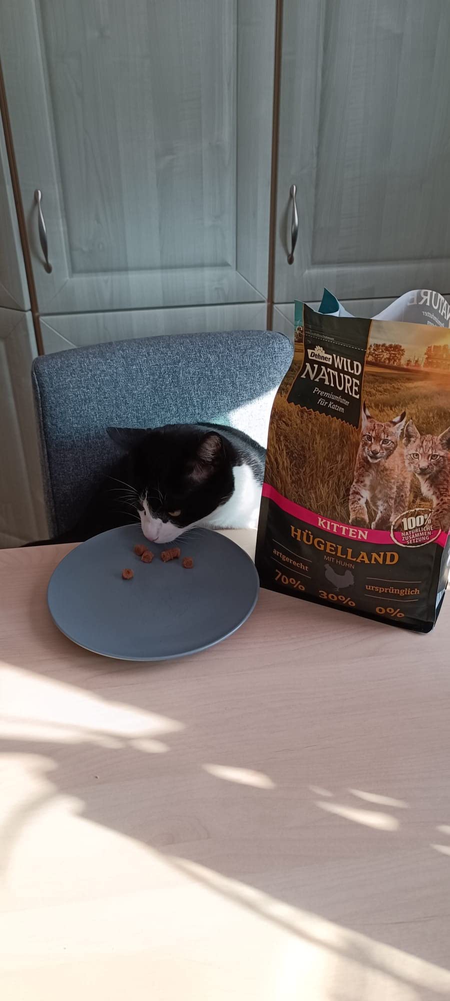 Dehner Wild Nature Hügelland Kitten Nassfutter 6x400g Huhn