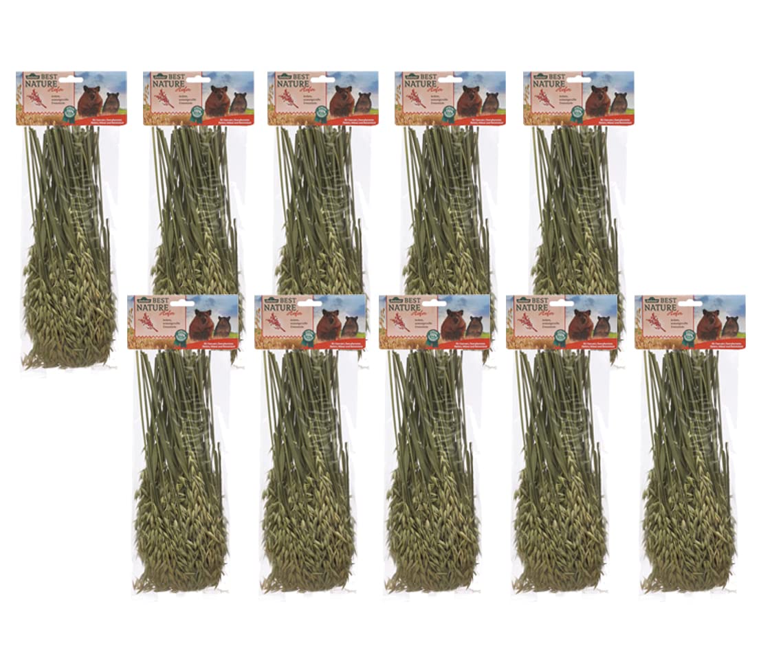 Dehner Best Nature Nagersnack Haselnusszweige 10x25g