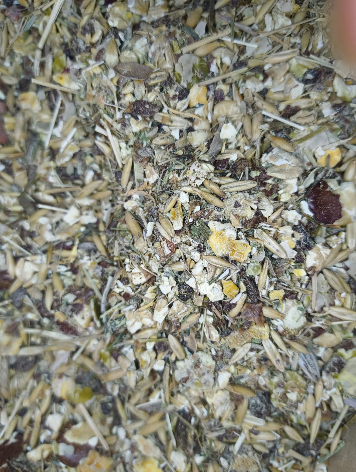 Mr. Crumble Kaninchenfutter Knuspermüsli 1,5 kg weizenfrei
