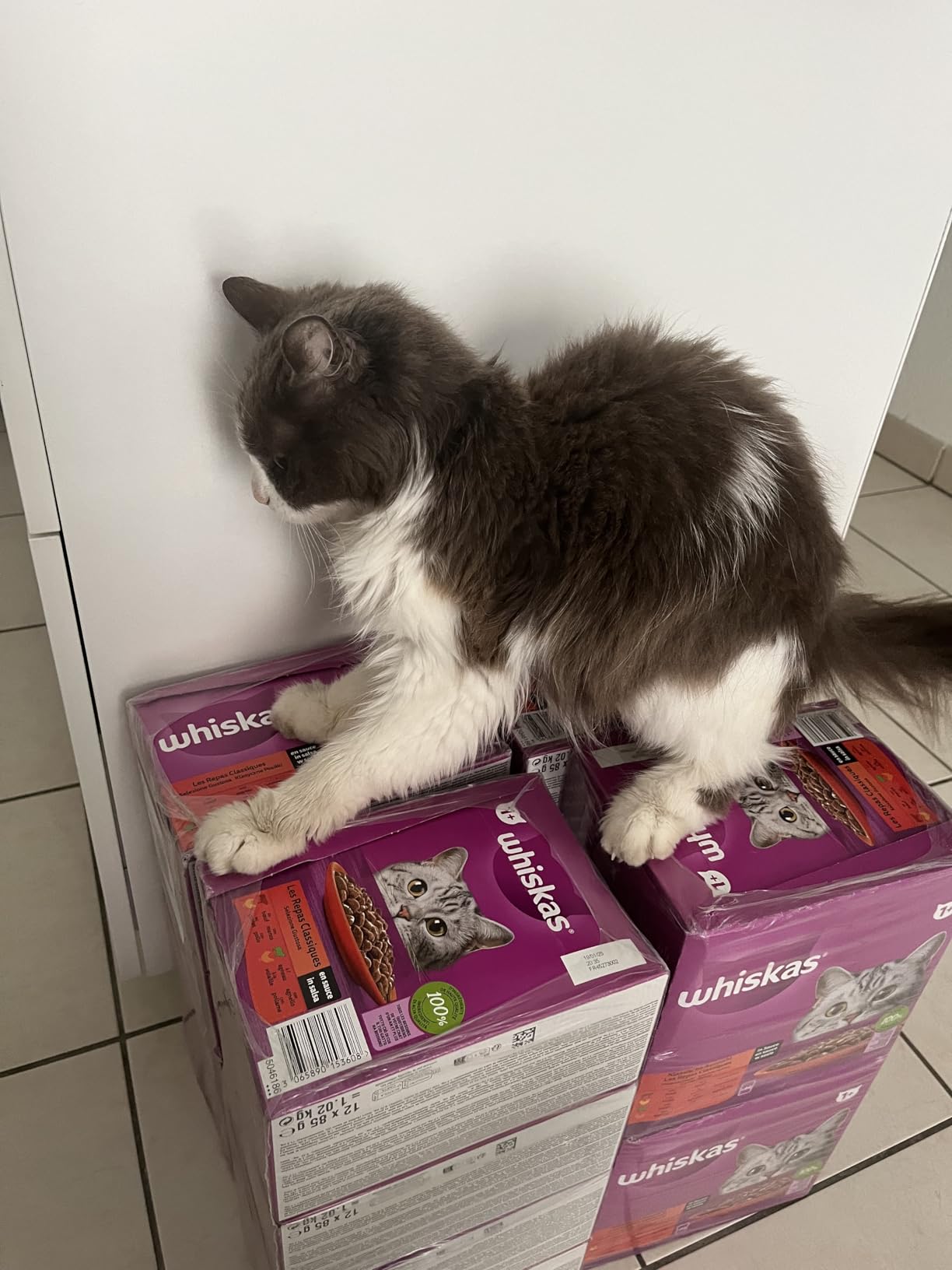Whiskas Classic Nassfutter in Sauce Klassische Auswahl 84x85g