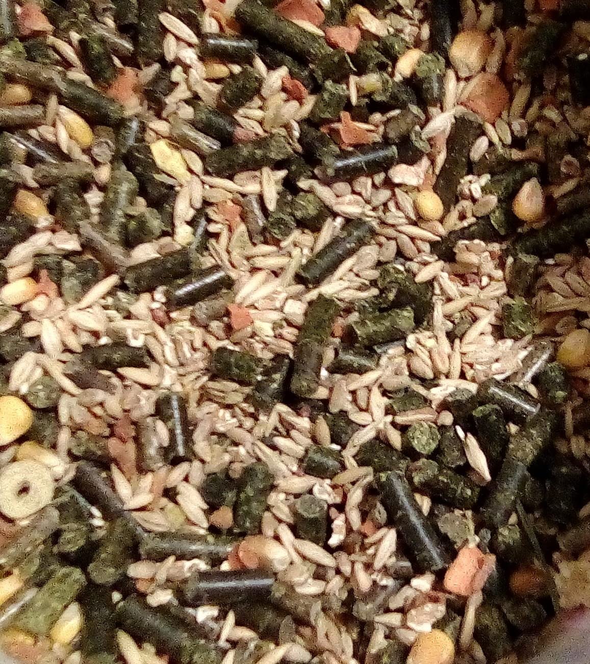Dehner Zwergkaninchenfutter Adult 5kg Luzerne-Karotte zuckerfrei