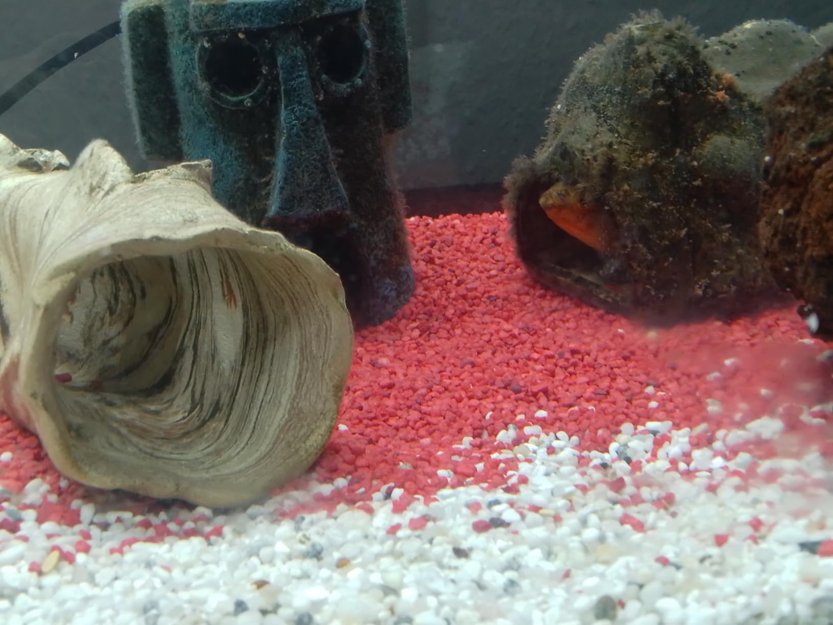 Dehner Aqua Aquarienkies 2-4 mm 5 kg rot abgerundet