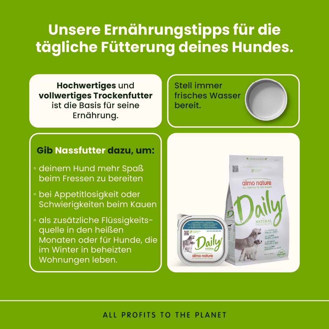 Almo Nature Daily Kabeljau Bohnen Hundenassfutter 300g glutenfrei