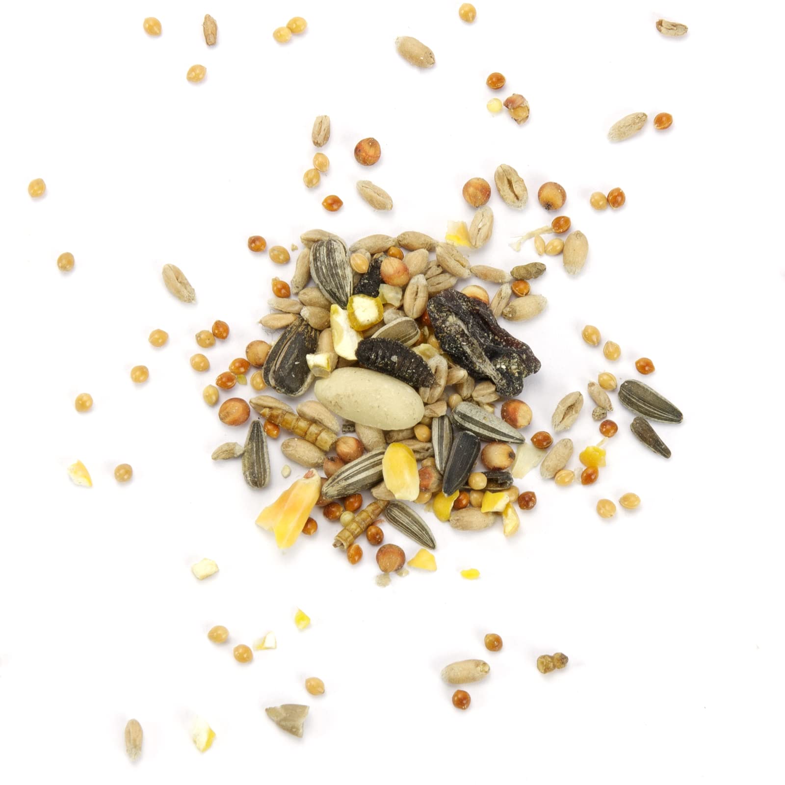 Mr. Crumble Kenner-Picknick Vogelfutter 2,5kg mit Insekten