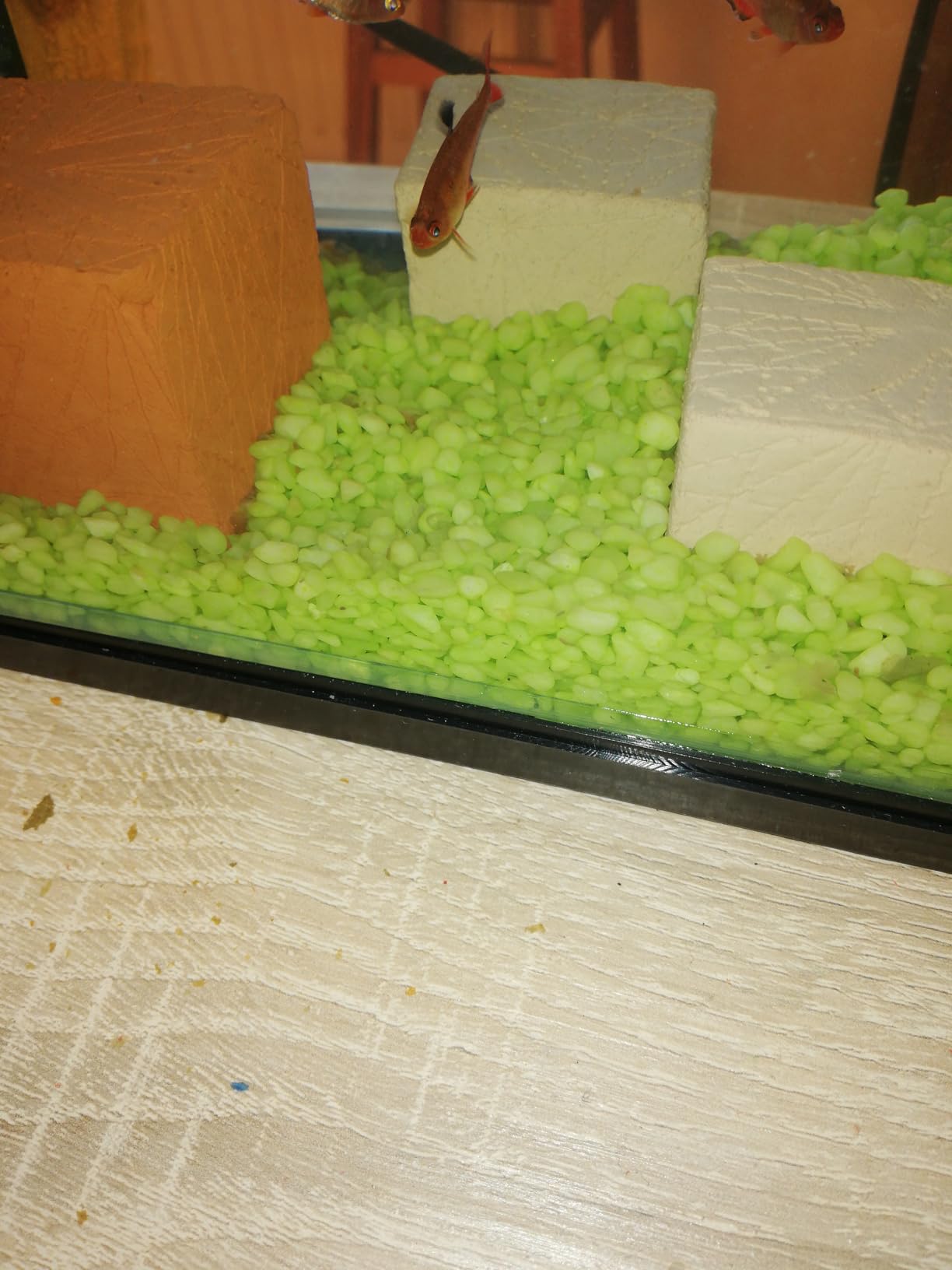 Dehner Aqua Aquarienkies 4-6 mm pastellgrün 5 kg