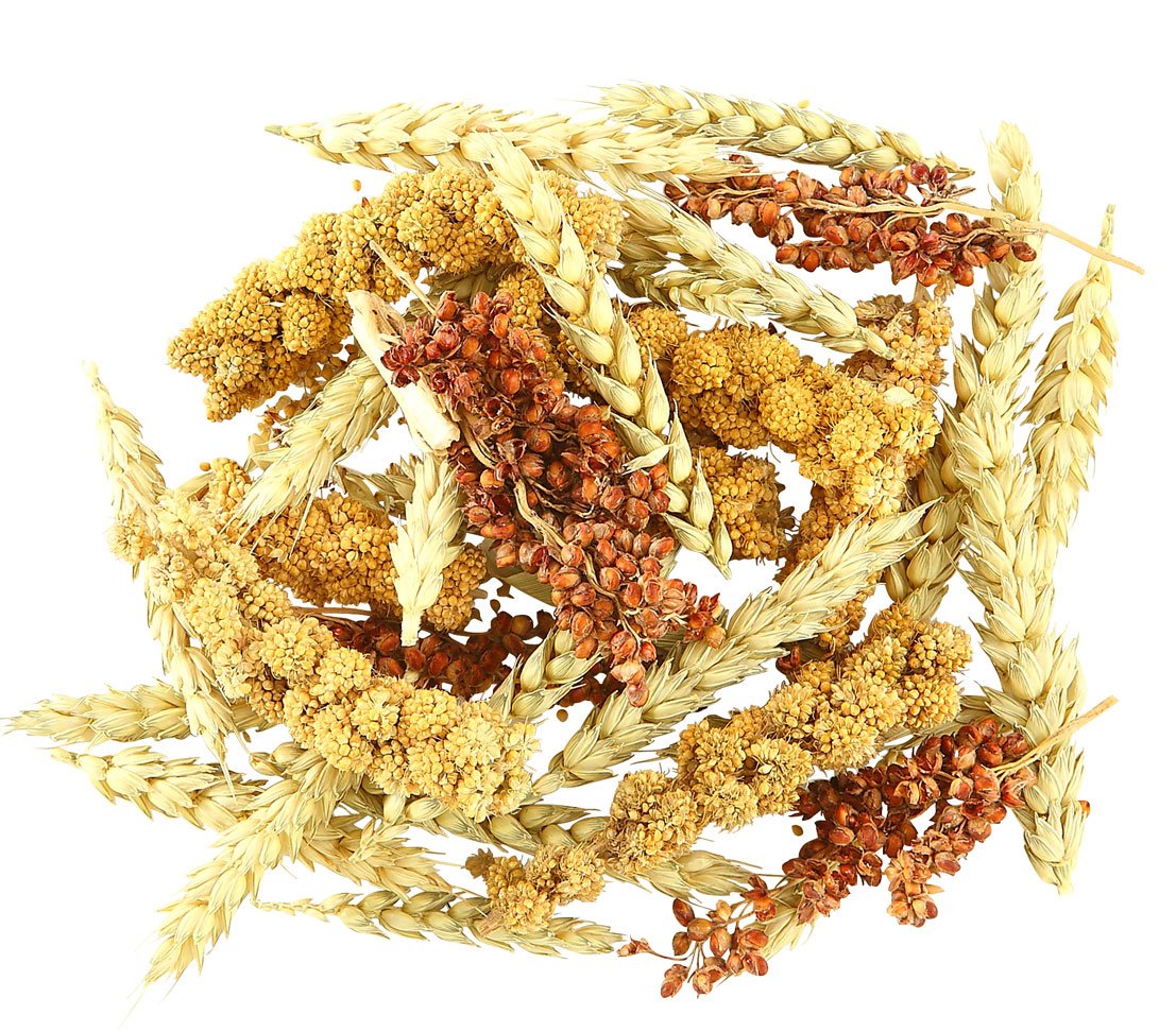 Dehner Best Nature Nagersnack Getreideähren-Mix 3x50 g