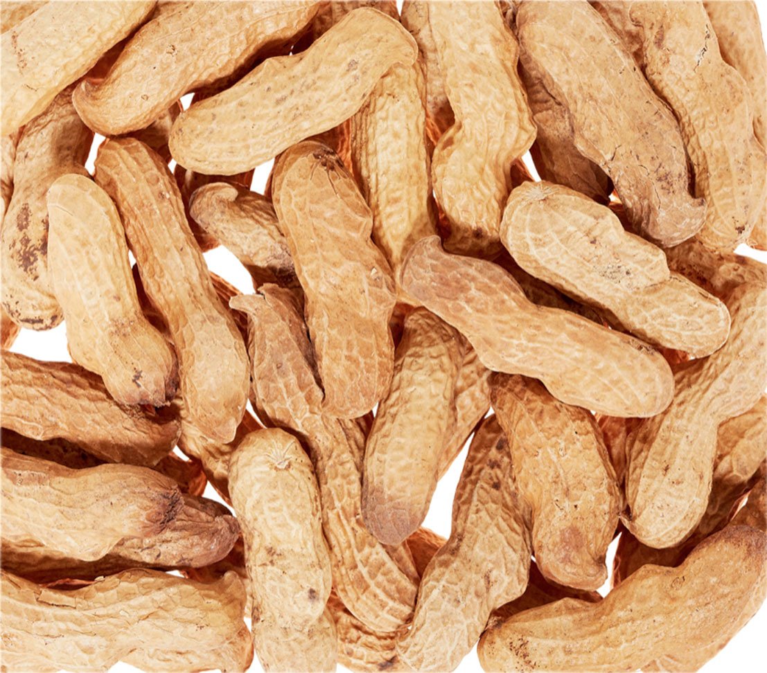 Dehner Natura Wildvogelfutter Erdnüsse mit Schale 2x500 g