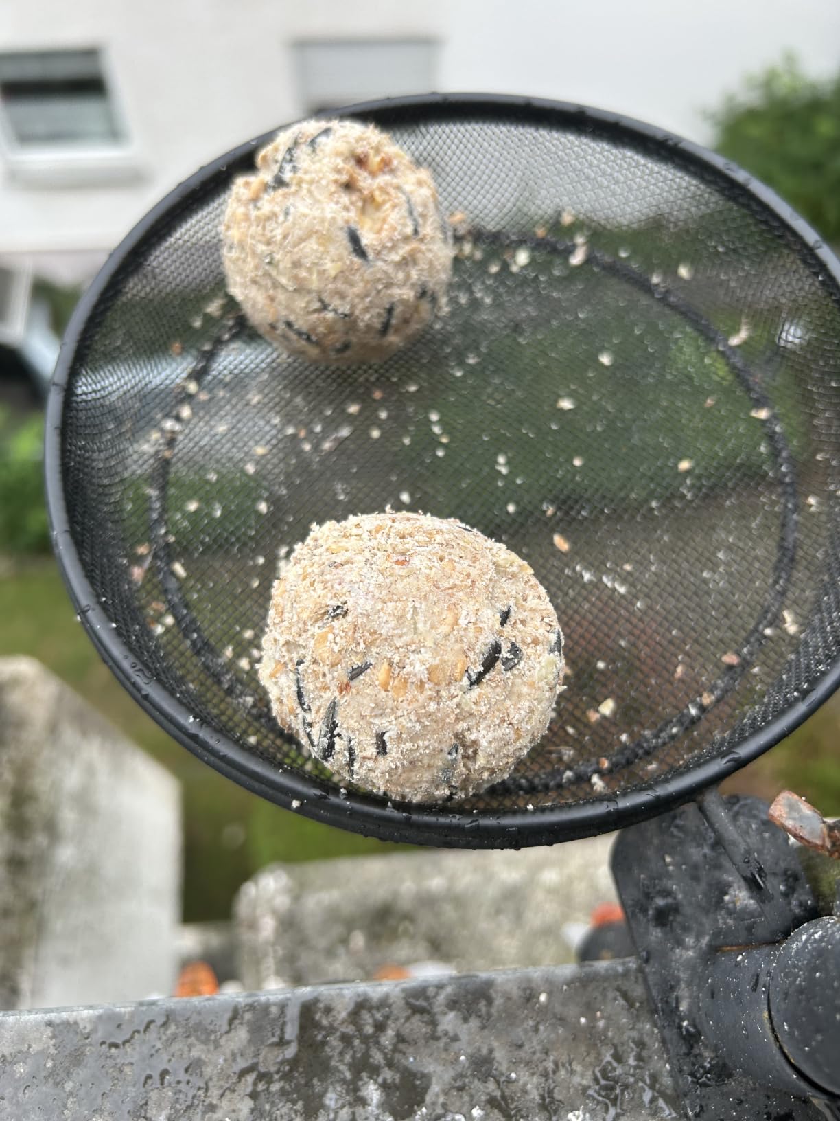 Dehner Natura Premium Meisenknödel ohne Netz 100x90g Karton