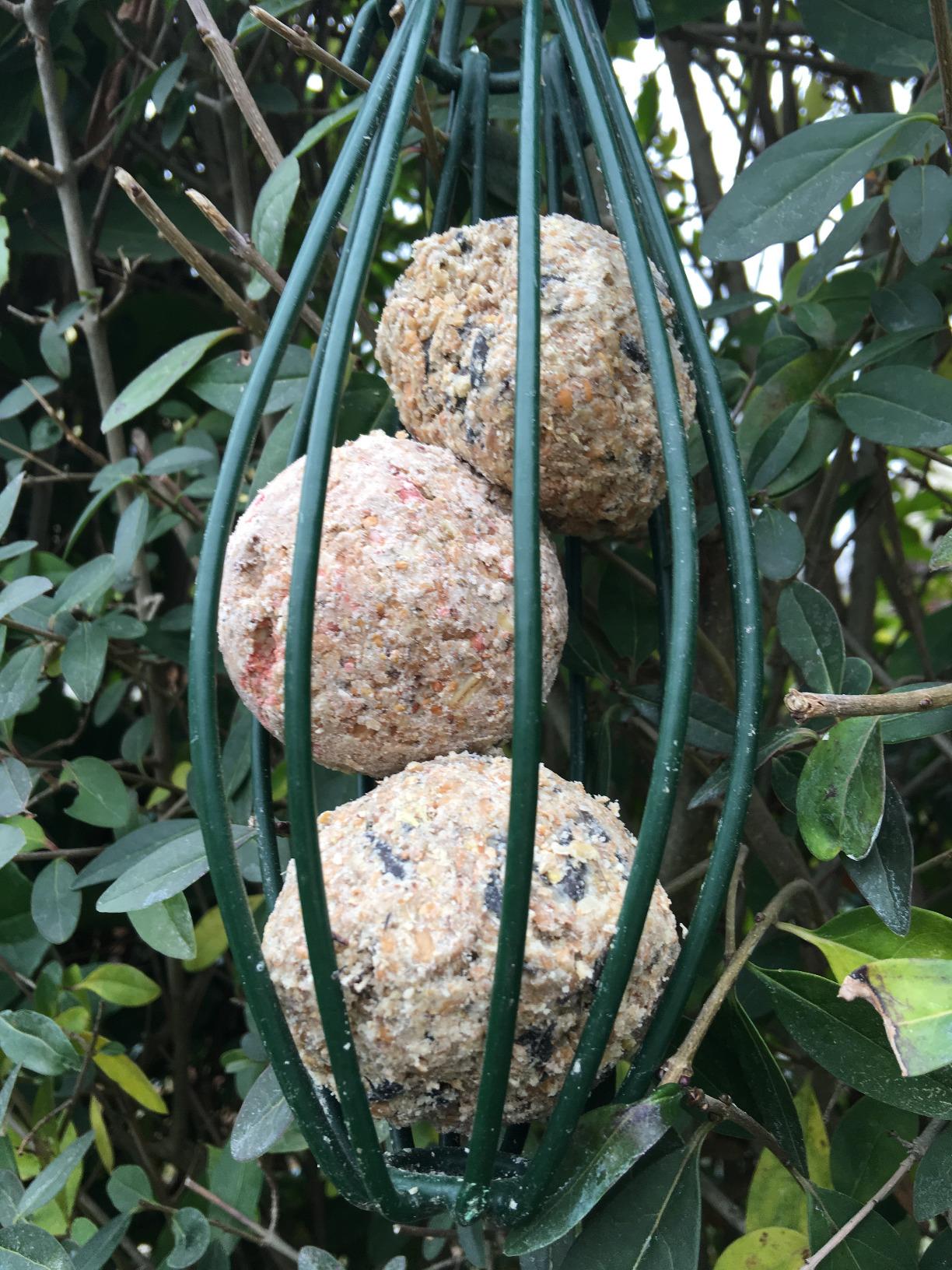 Dehner Natura Meisenknödel Beere ohne Netz 100x90g Eimer