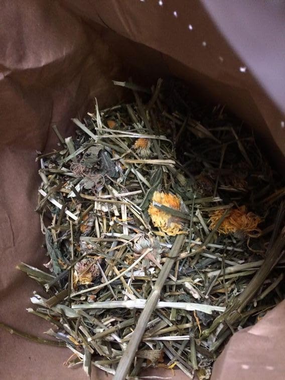 Mr. Crumble Dillikatesse Struktur-Futter Dill 1 kg rohfaserreich
