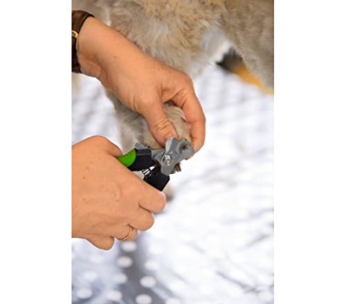 Dehner Krallentrimmer Krallenpflege Katzen kleine Hunde