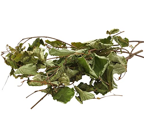 Dehner Best Nature Nagersnack Haselnusszweige 10x25g