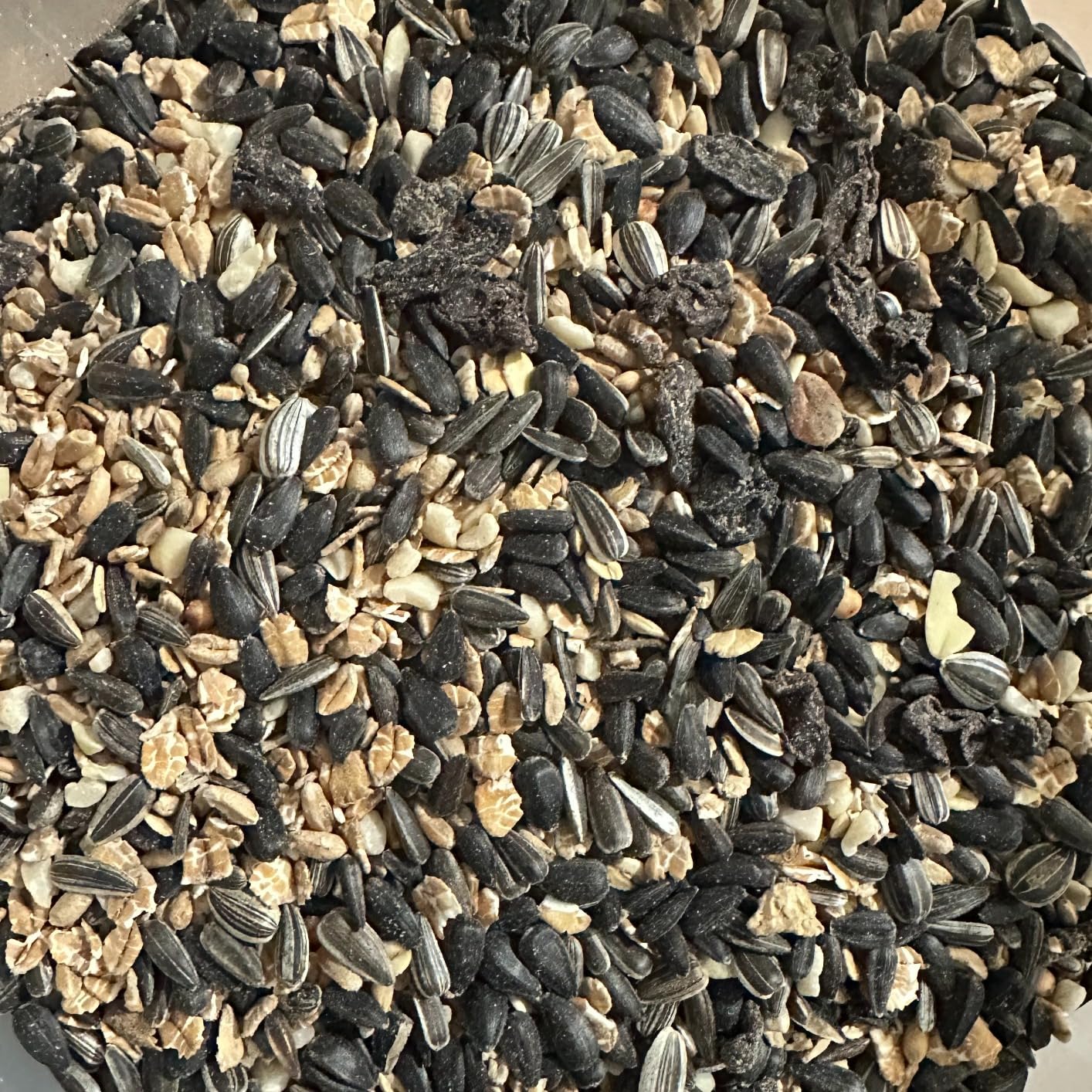 Dehner Natura Wildvogelfutter Streufutter 3kg Ganzjahr