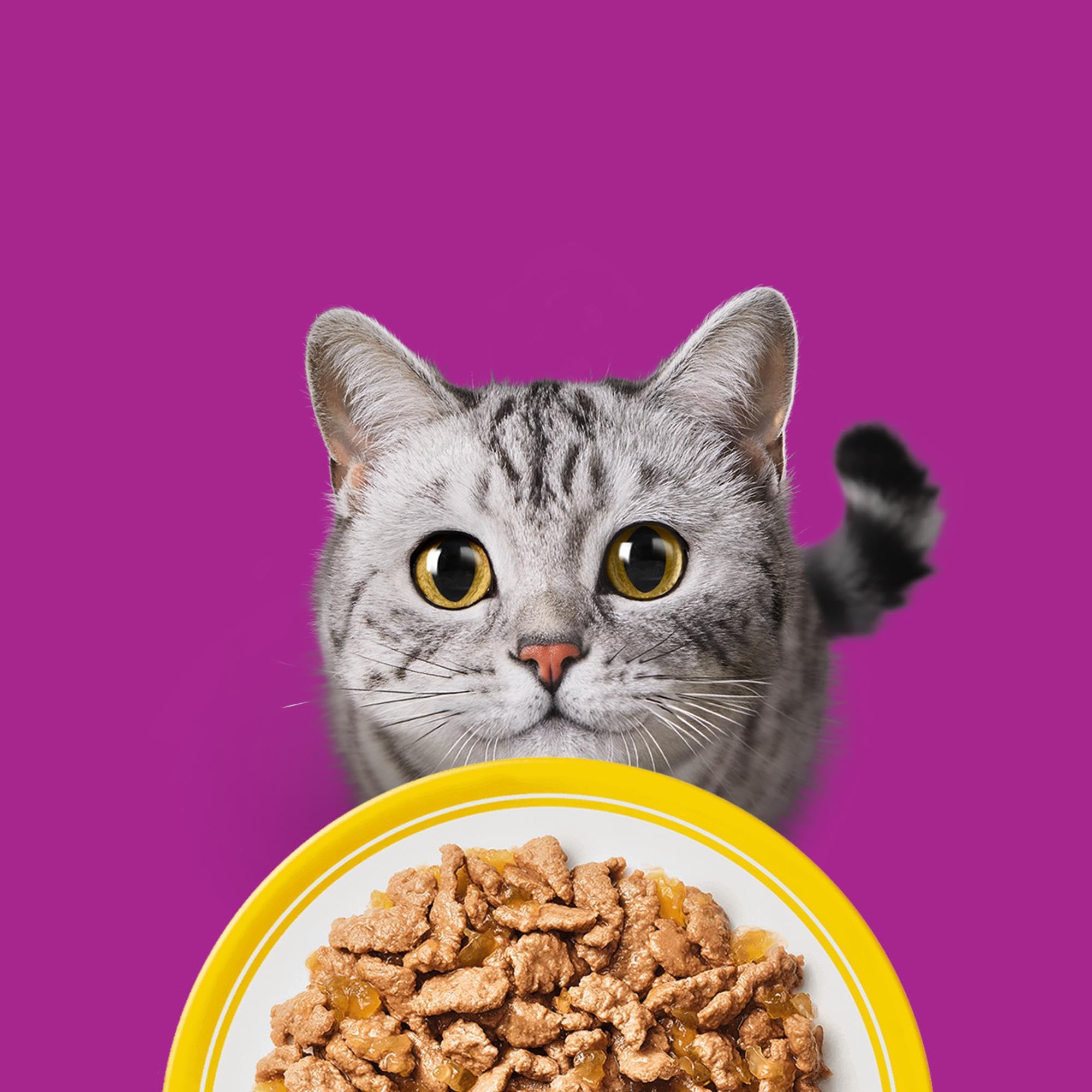Whiskas Senior 7+ Geflügel Auswahl Nassfutter 120x85g Gelee