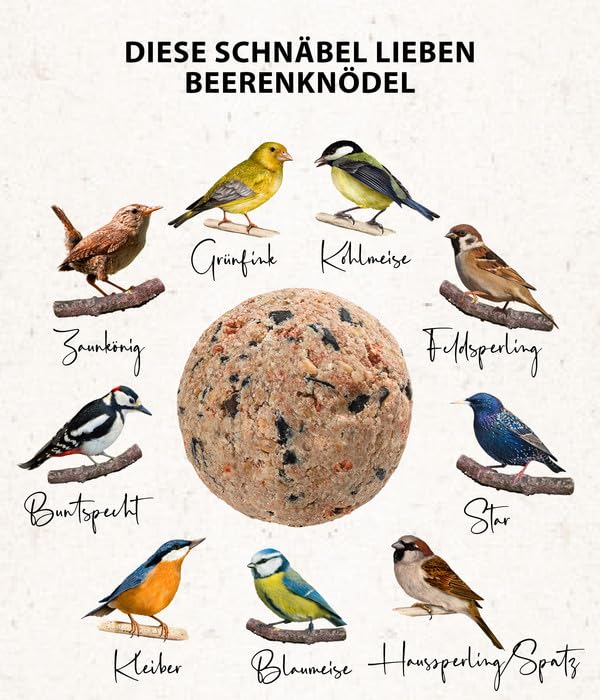 Dehner Natura Meisenknödel Beere 100x100g ohne Netz