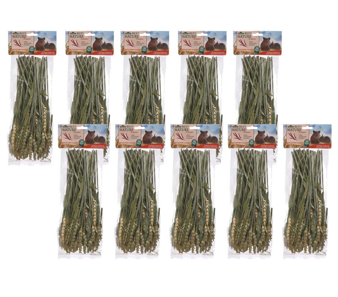 Dehner Best Nature Nagersnack Haselnusszweige 10x25g