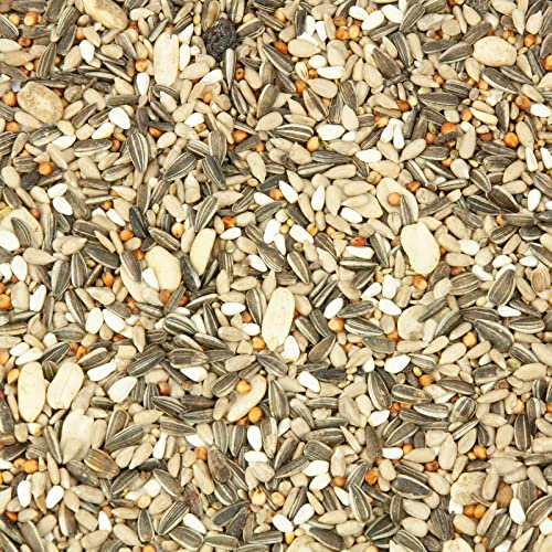 Mr. Crumble Meisen-Picknick Meisenfutter Vogelfutter 5 kg Erdnuss