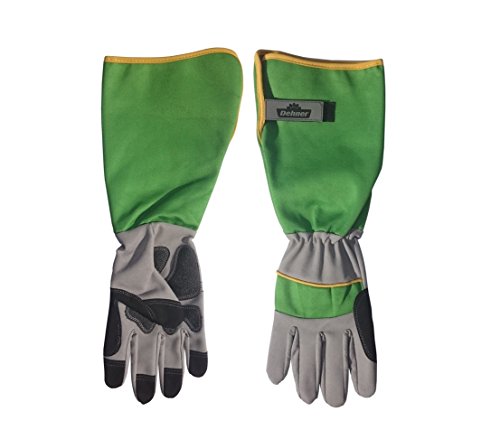 Dehner Premium Lovely Rosenhandschuh Größe 8 2er Pack