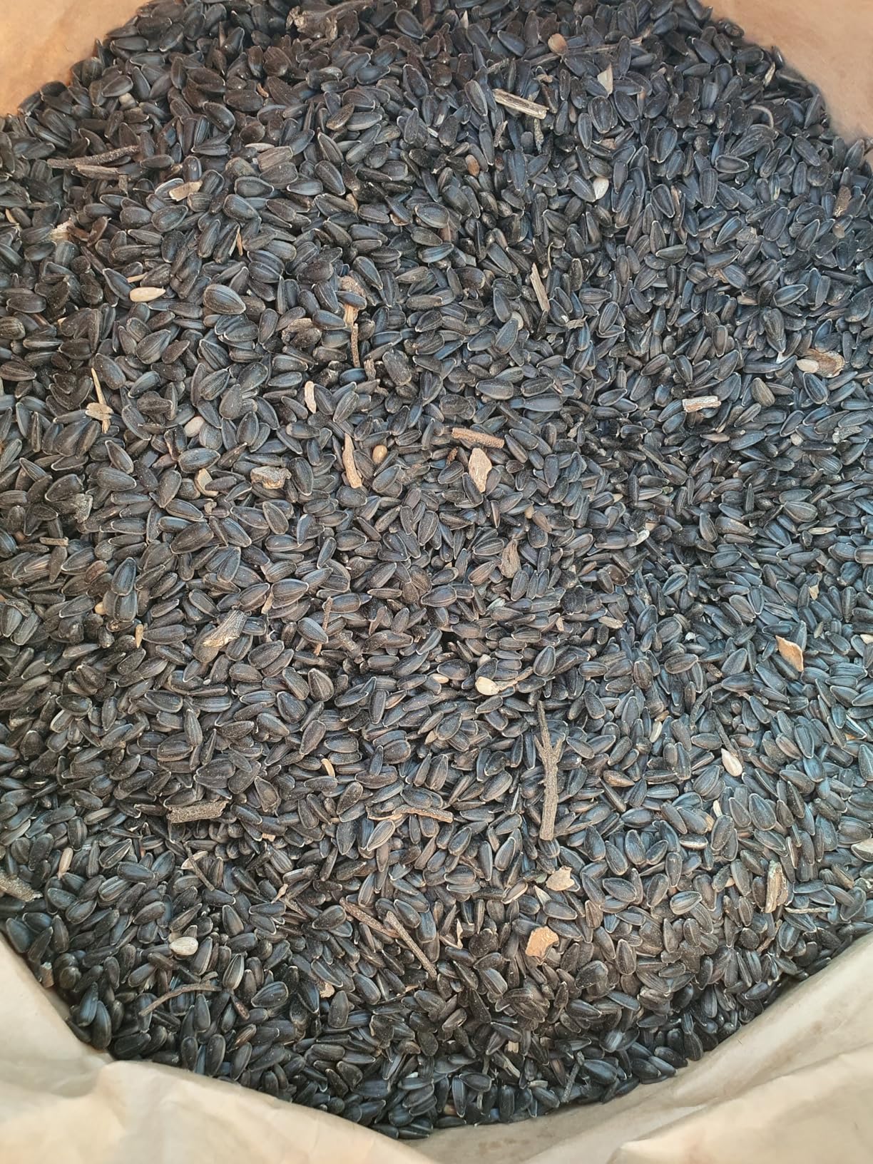 Mr. Crumble Schwarze Sonnenblumenkerne Vogelfutter 2,5 kg