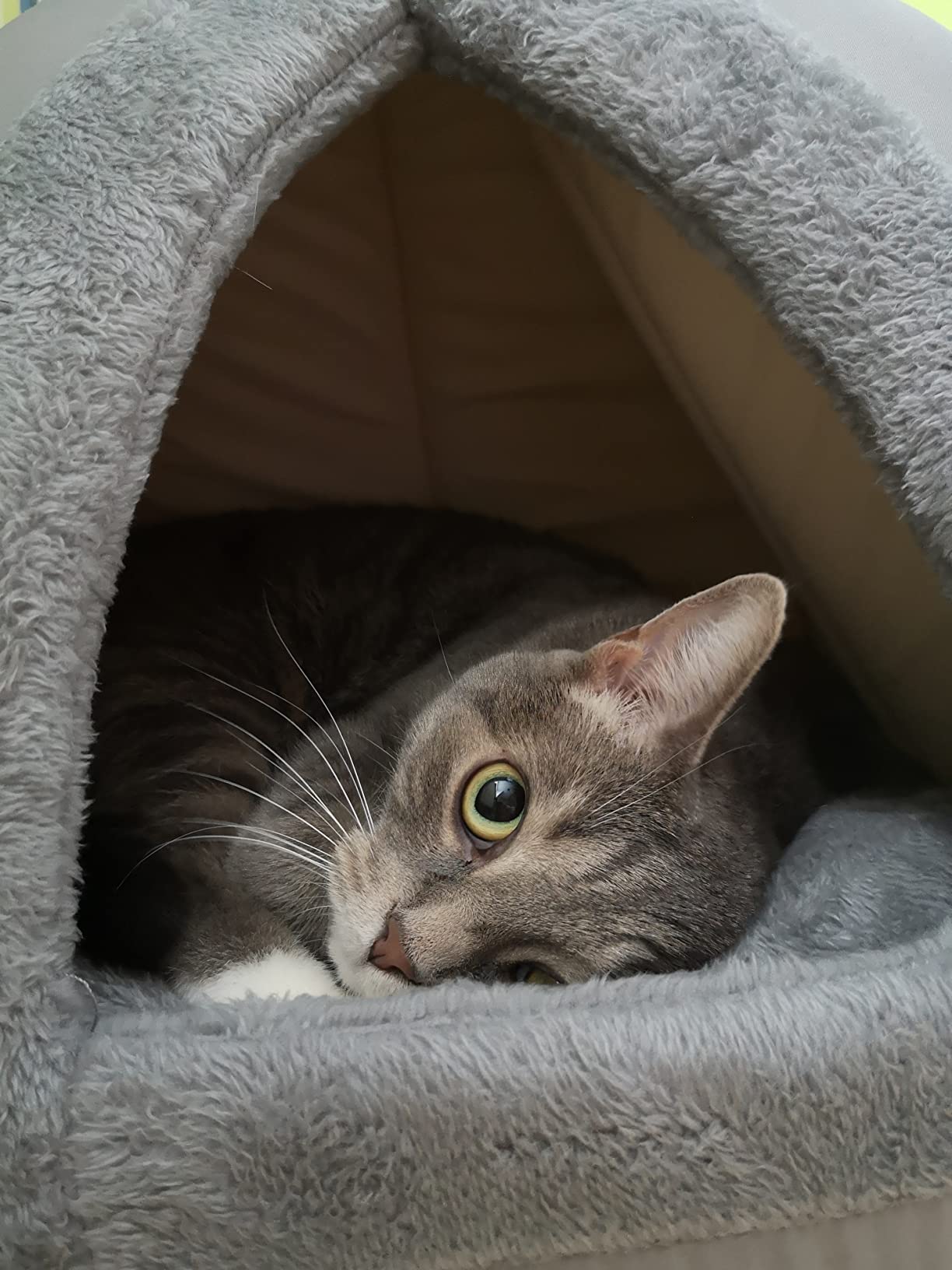 Dehner Lieblinge Findus Katzen Kuschelhöhle Grau 40x40x35