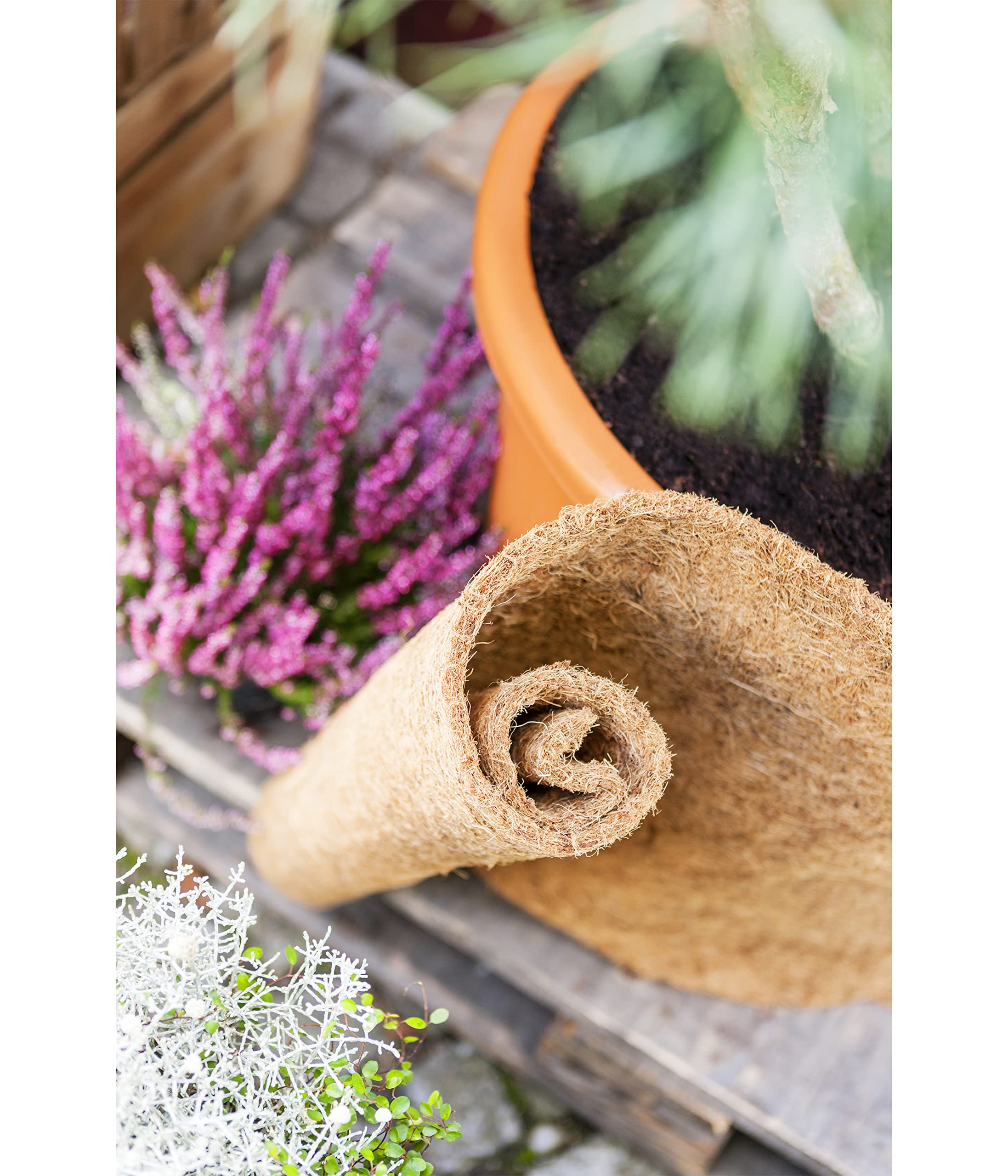 Dehner Winterschutz-Matte Kokos 150x50 cm braun