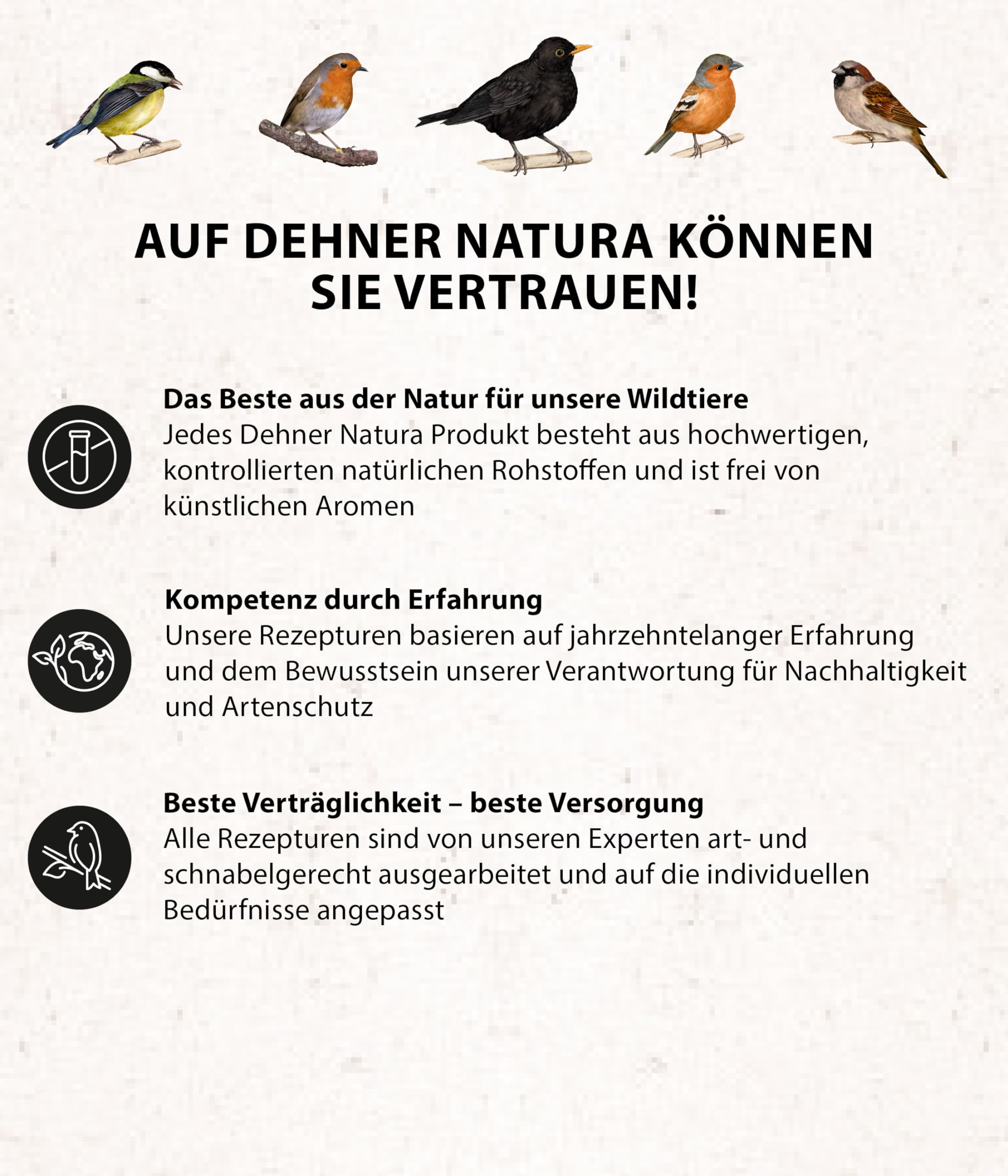Dehner Natura Erdnussbutter Rosine Wildvogelfutter 340g energiereich
