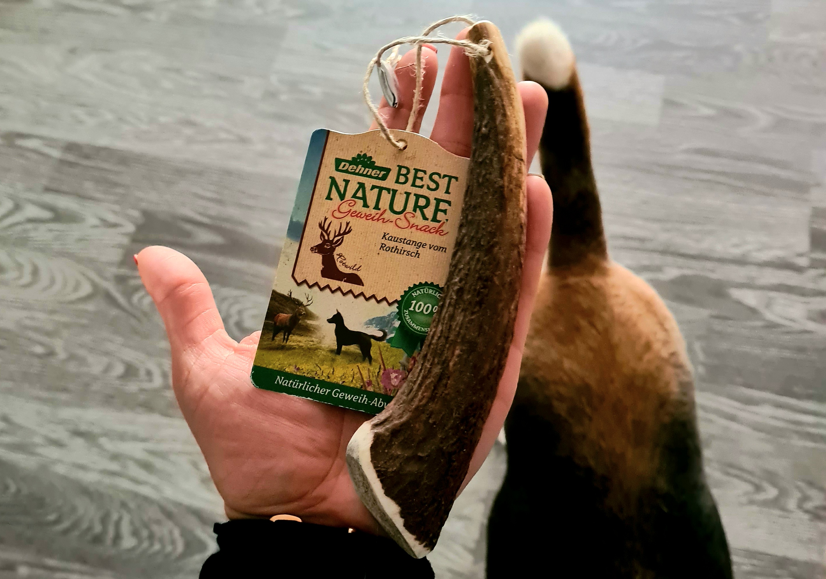 Dehner Best Nature Rothirsch-Geweih Hundesnack 100 g S geruchsarm